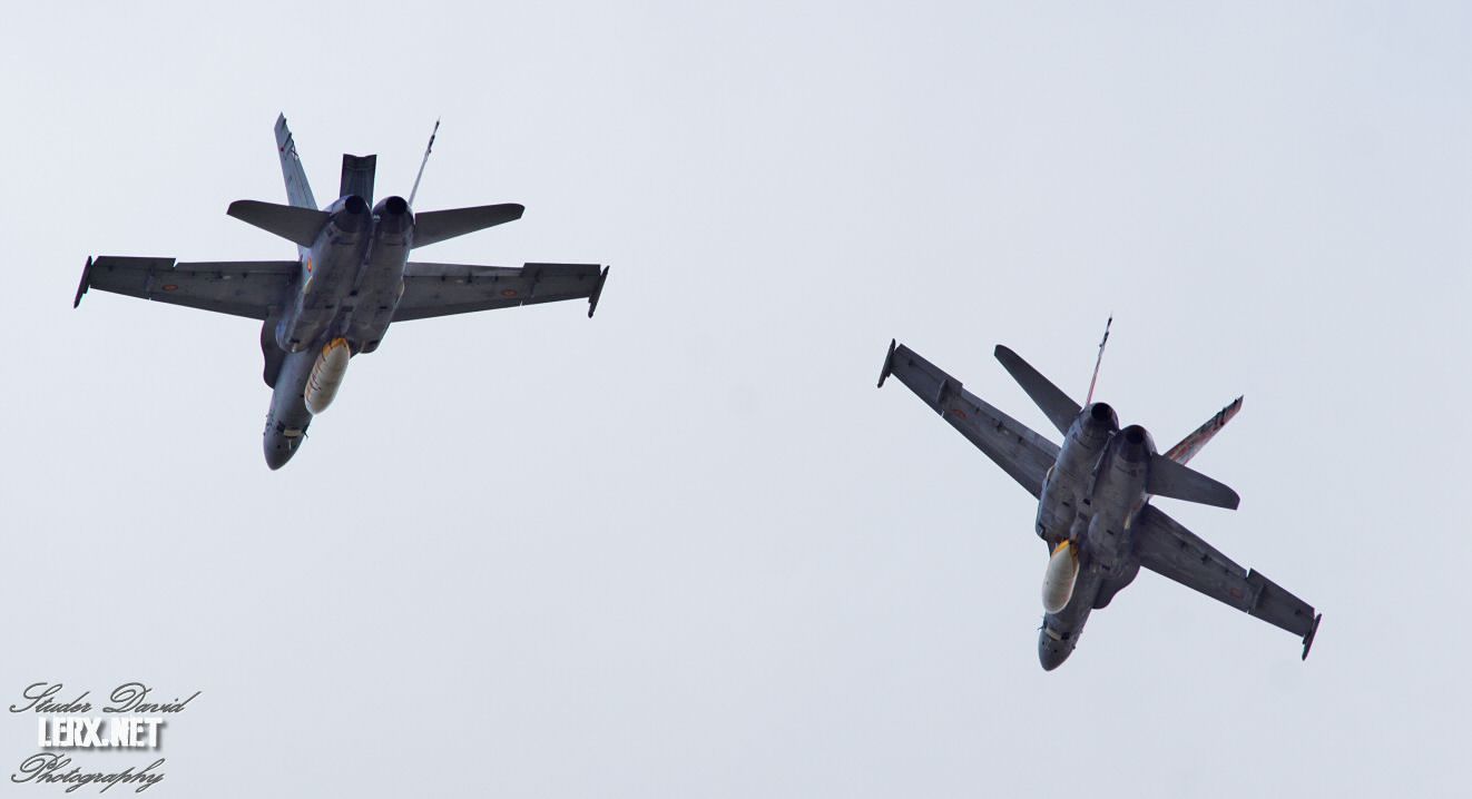 FA-18 Espagnol 0003  LERX NET.jpg